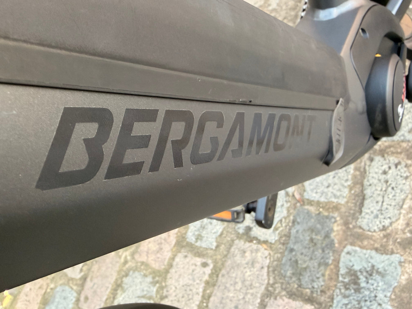 Bergamont