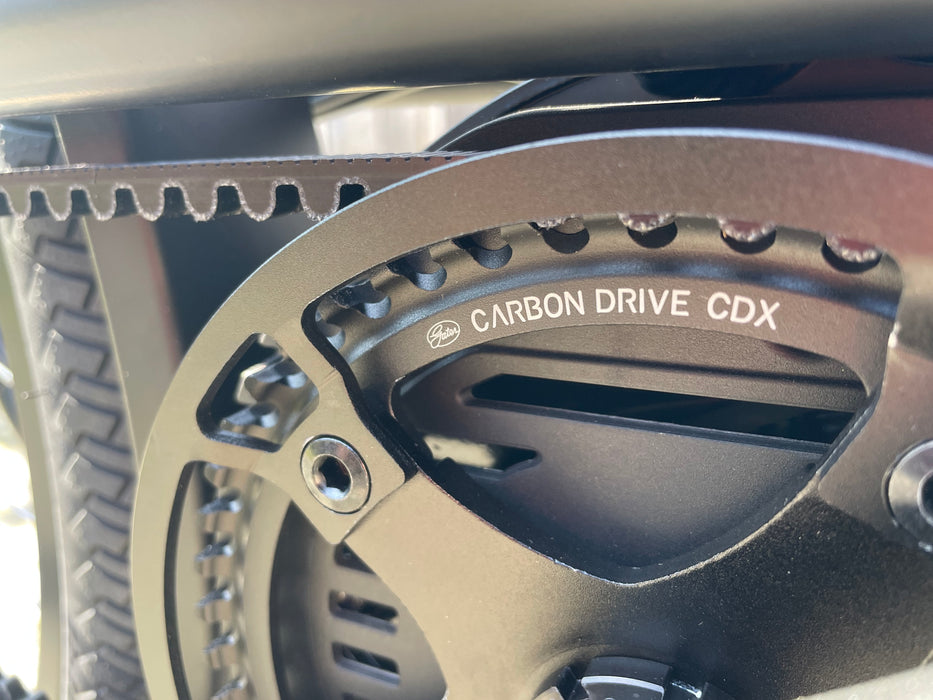 NEW | Urban Arrow Family | Cargoline Automaat
