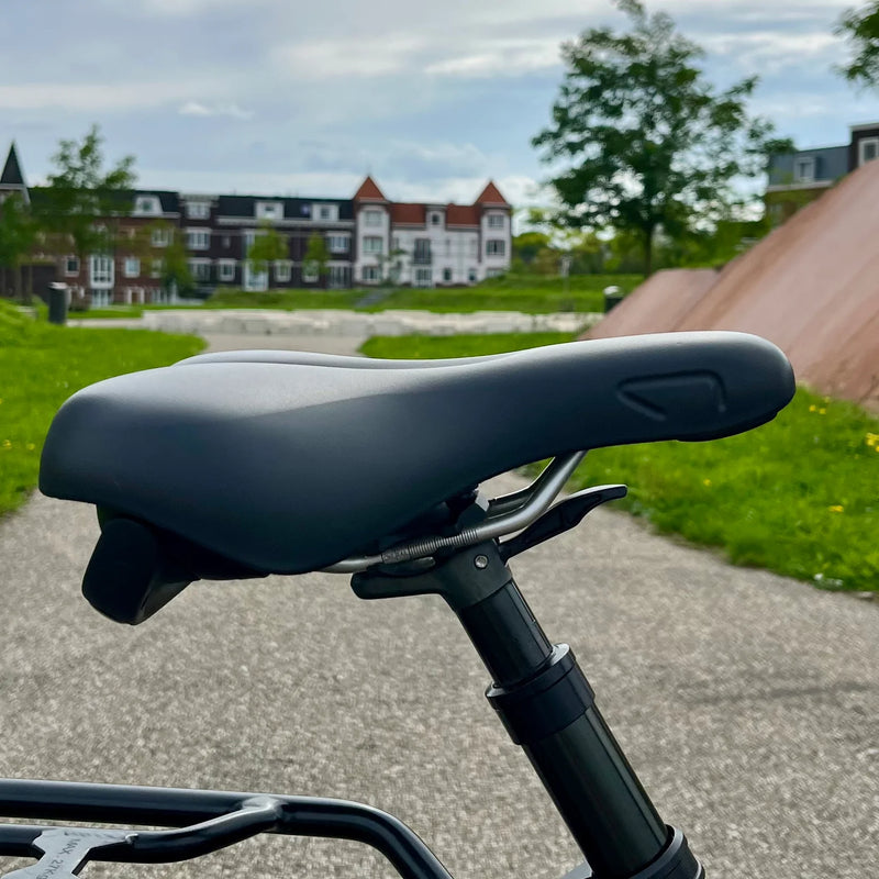 Verende Zadelpen | Studio Vollebak