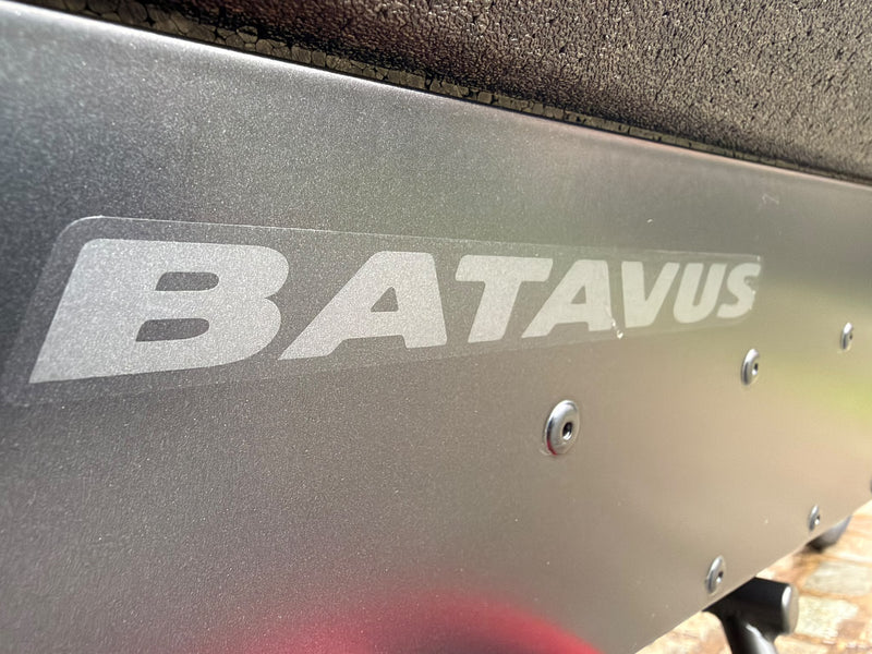 Batavus Fier 2 | 1271 kms | 2024