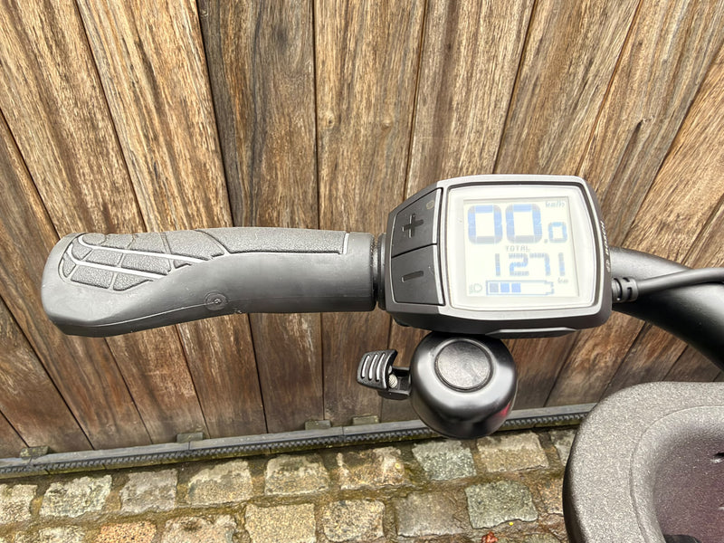 Batavus Fier 2 | 1271 kms | 2024