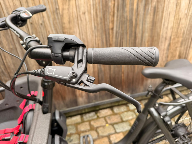 Batavus Fier 2 | 1271 kms | 2024