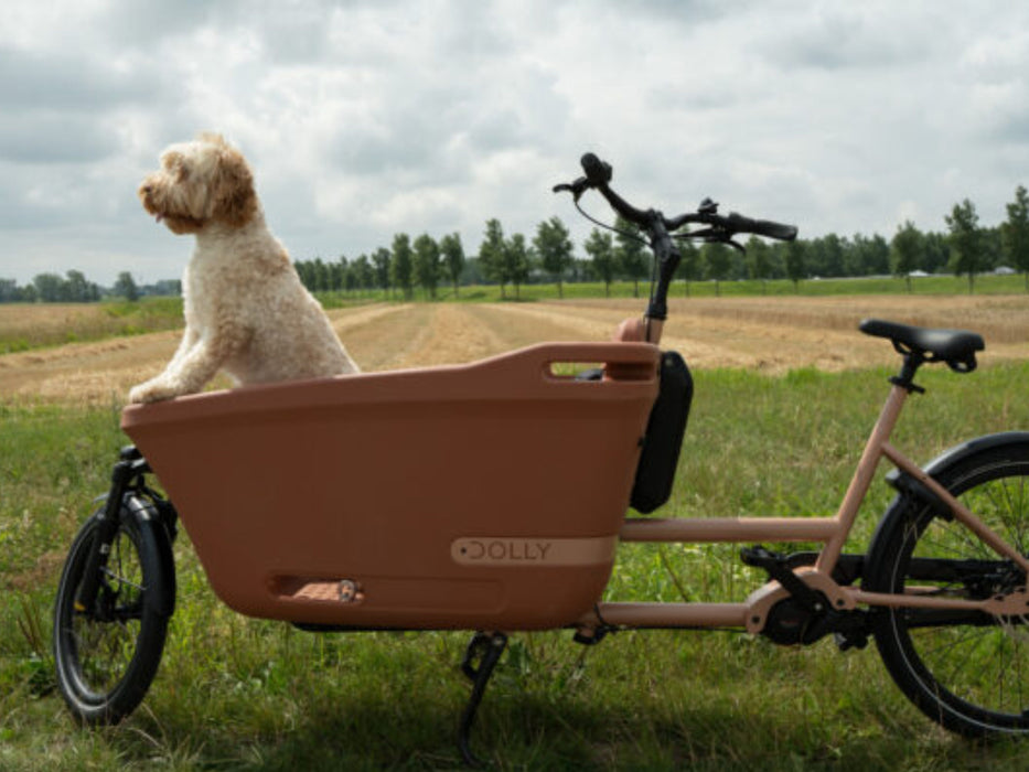 NEW | Dolly Joy | Bakfiets