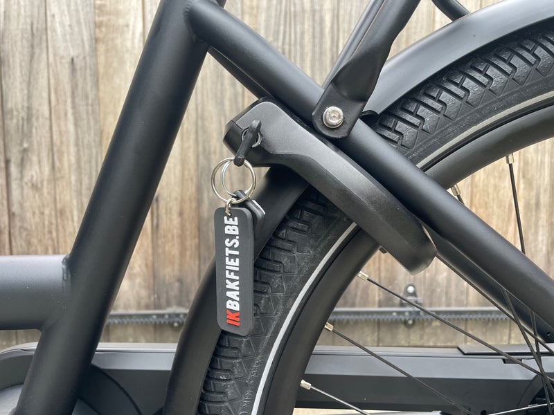 DEMO Dolly Joy Black Hazelnut