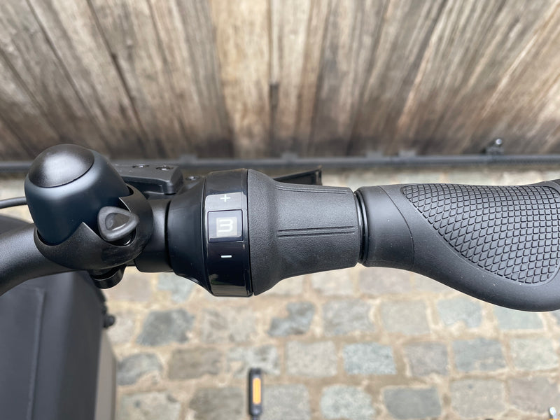 DEMO Dolly Joy Black Hazelnut