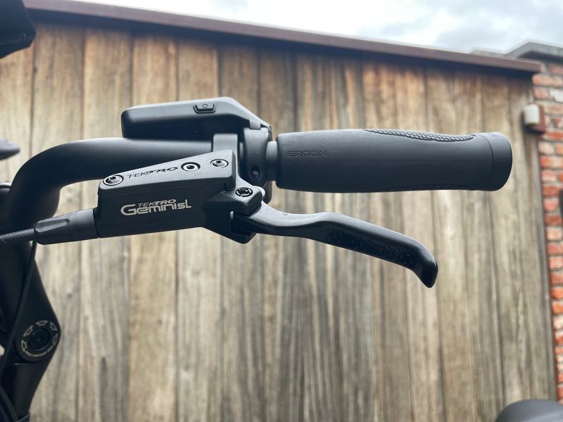 DEMO Dolly Joy Black Hazelnut