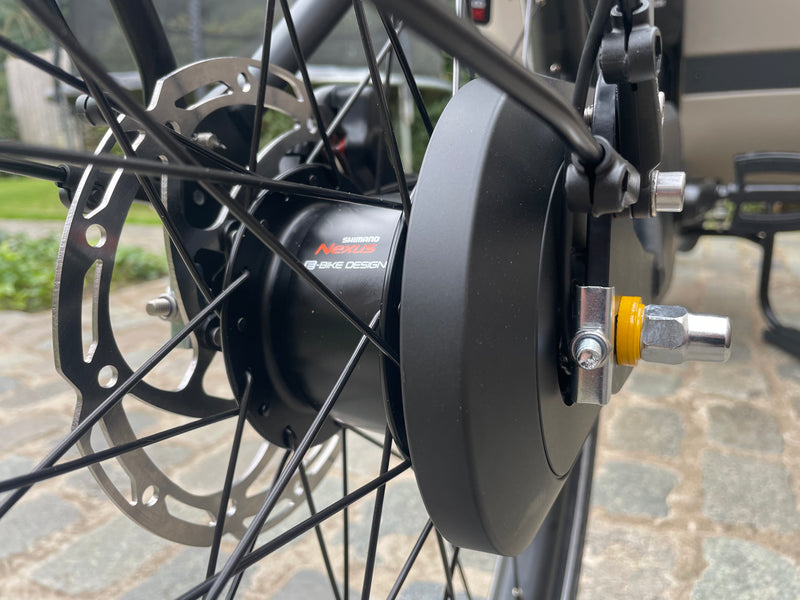 DEMO Dolly Joy Black Hazelnut