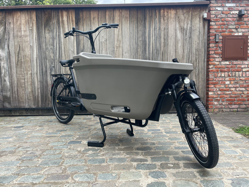 DEMO Dolly Joy Black Hazelnut