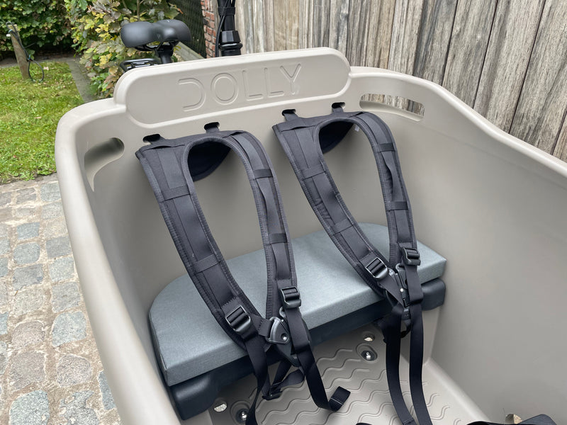 DEMO Dolly Joy Black Hazelnut