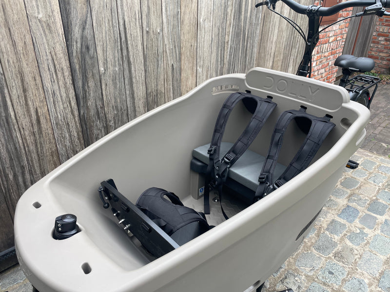 DEMO Dolly Joy Black Hazelnut