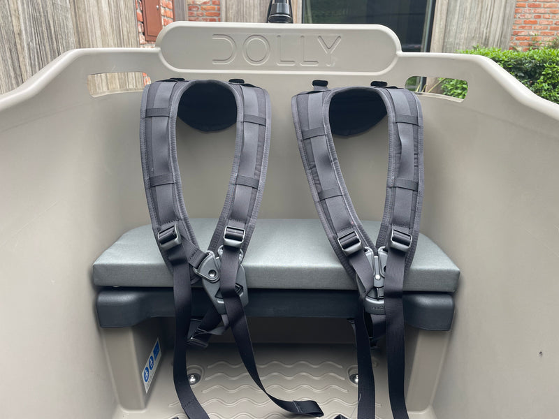 DEMO Dolly Joy Black Hazelnut