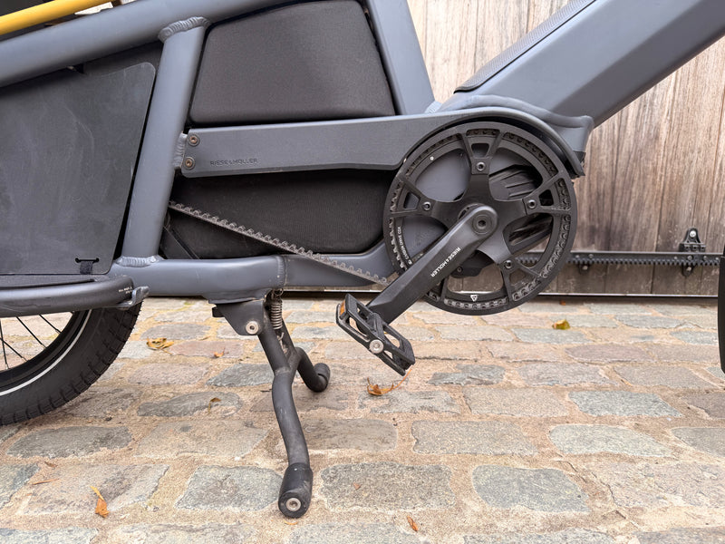 Riese en Müller Multitinker