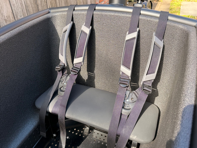 Urban Arrow Family 75Nm Smart