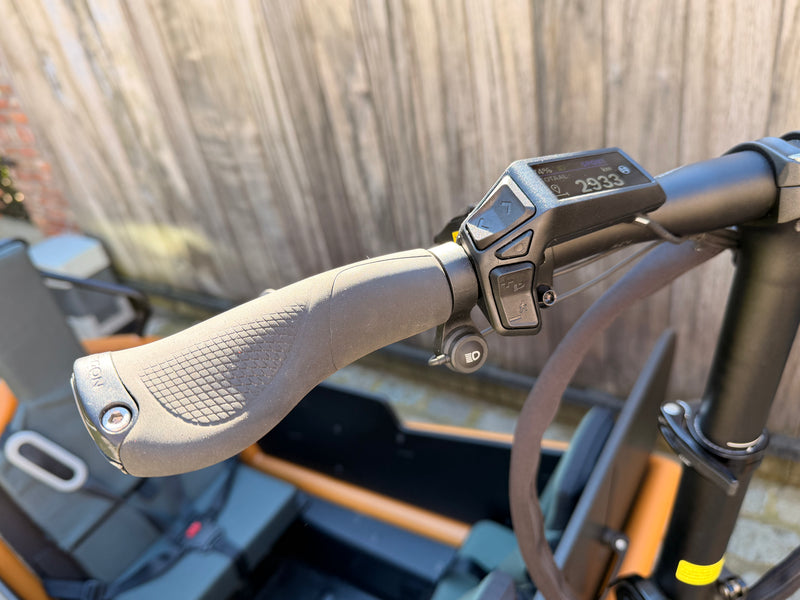 Riese en Muller Load 5 75 Vario Peanut Matt
