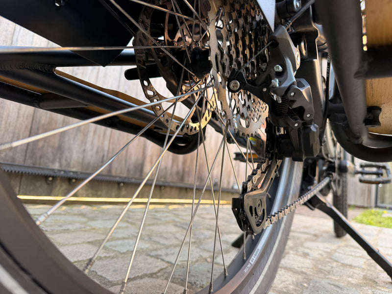 Bergamont E-cargoville Longtail