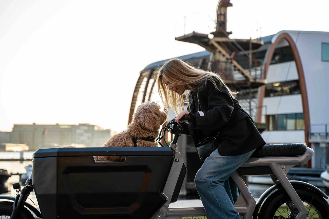 CargoX Bakfiets (PRE-ORDER) | Stoer Bikes