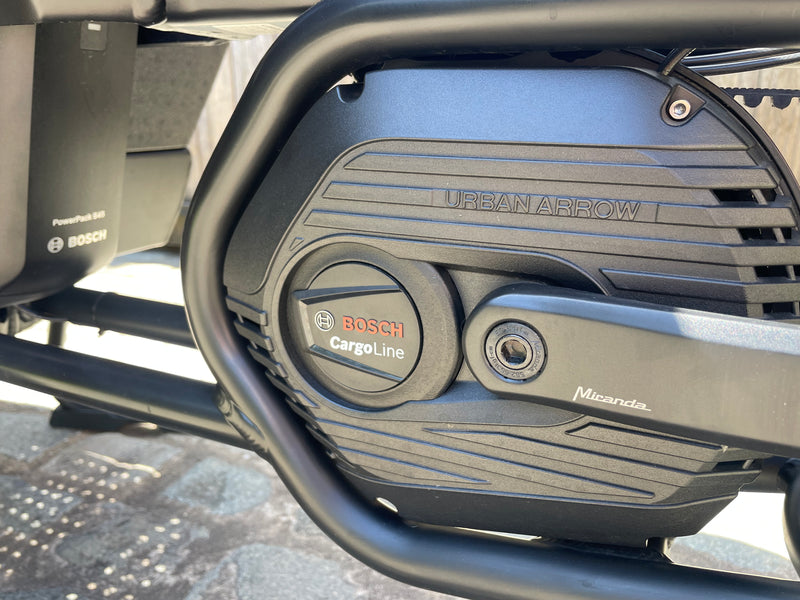 Urban Arrow Family Next Advanced