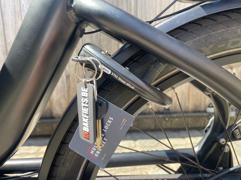 Urban Arrow Family Next Advanced