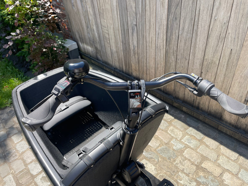 Urban Arrow Family Next Advanced