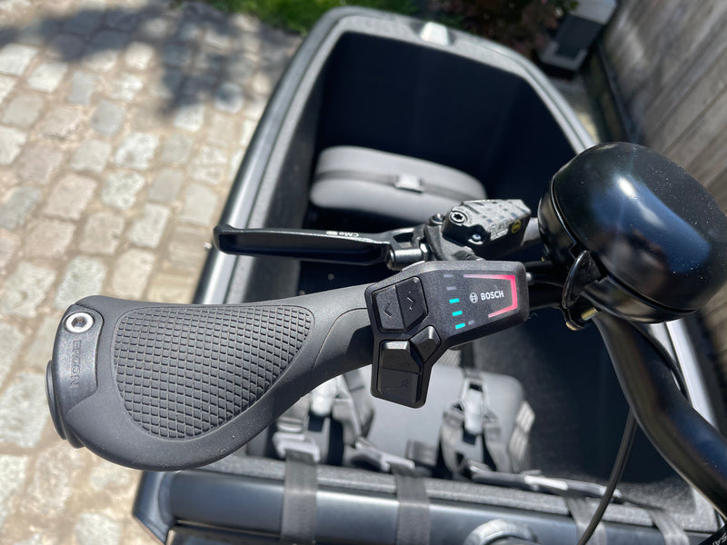 Urban Arrow Family Next Advanced