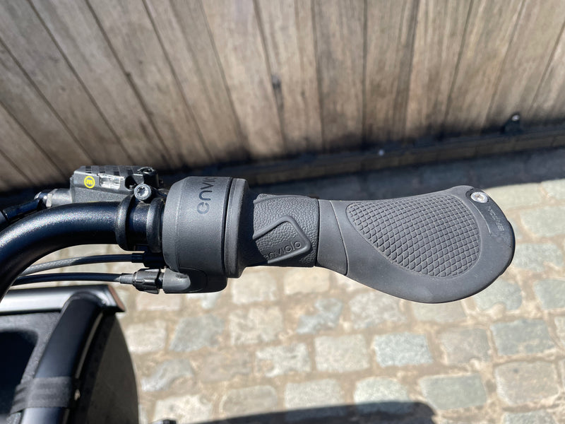 Urban Arrow Family Next Advanced