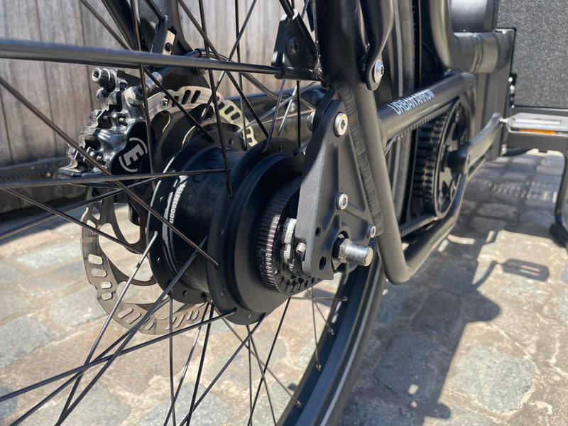 Urban Arrow Family Next Advanced