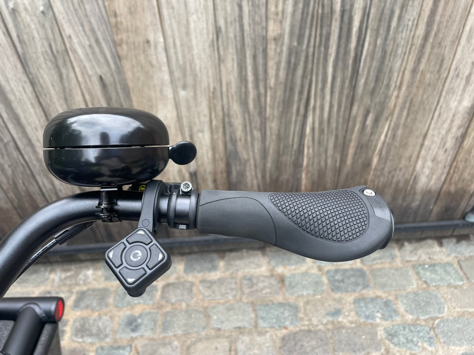 NEW | Urban Arrow Family | Cargoline Automaat