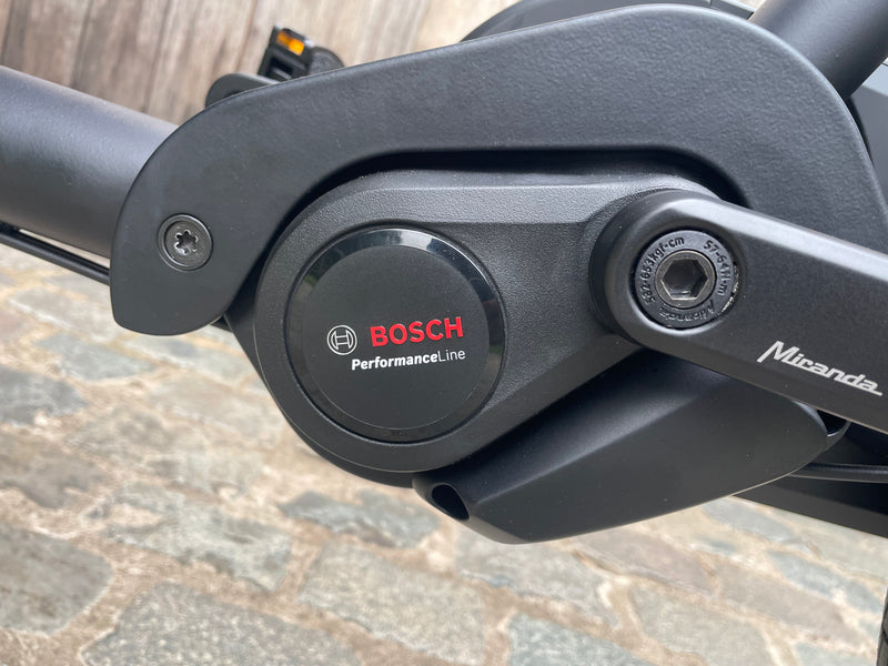 DEMO Dolly Joy Black Hazelnut