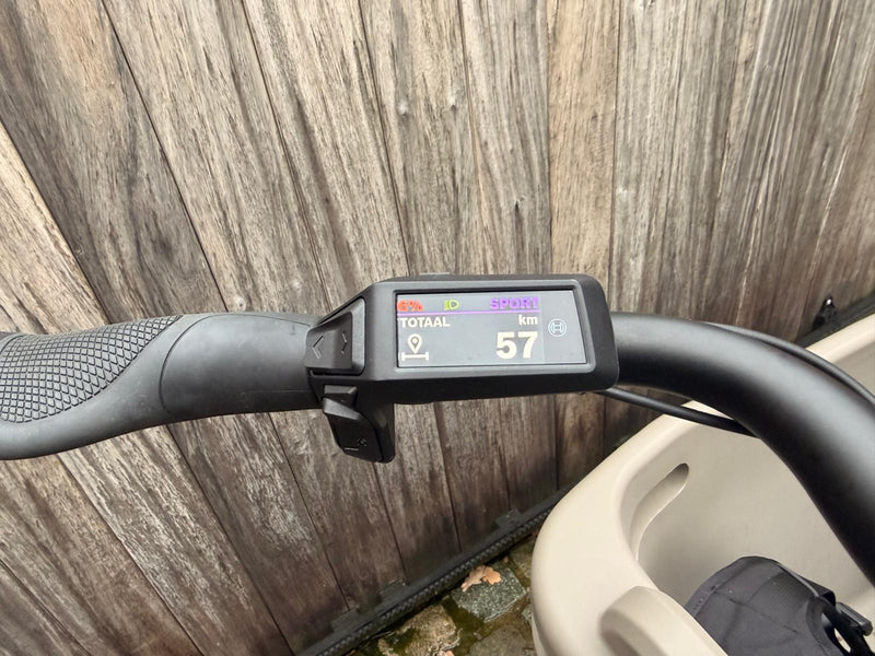 DEMO Dolly Joy Black Hazelnut