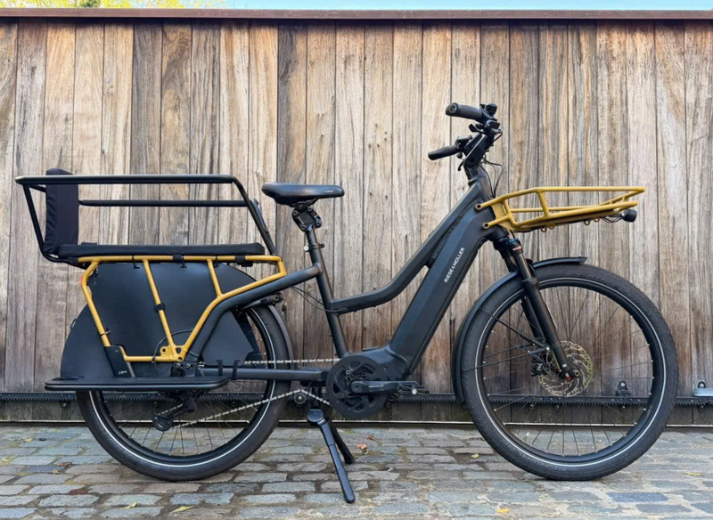 Riese en Muller Multicharger Mixte GT | 909 kms | 2025