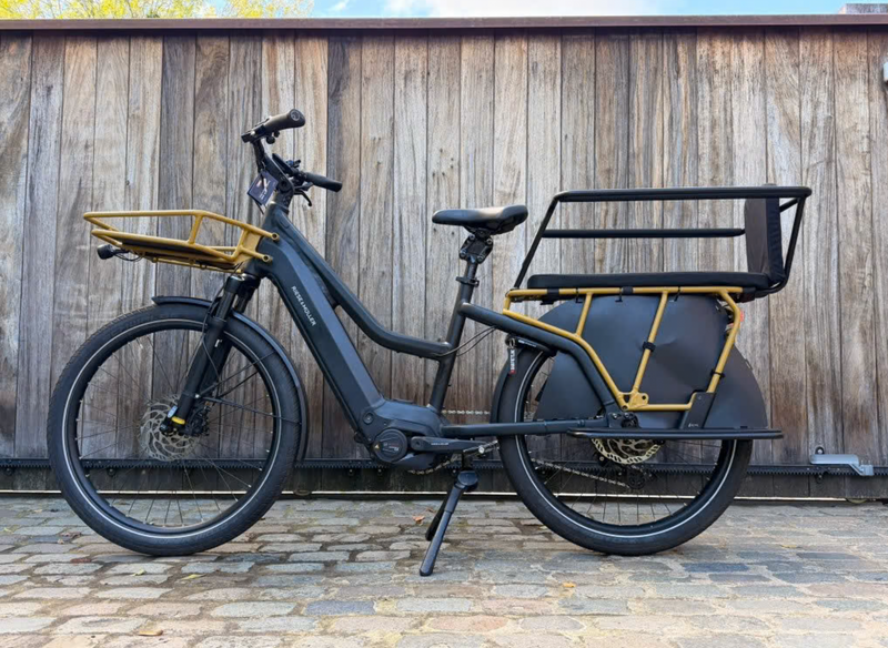 Riese en Muller Multicharger Mixte GT | 909 kms | 2025