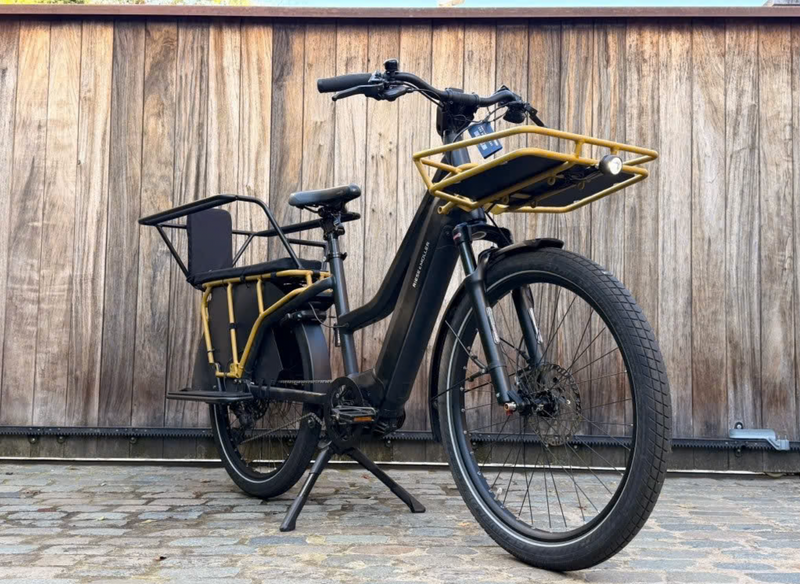 Riese en Muller Multicharger Mixte GT | 909 kms | 2025