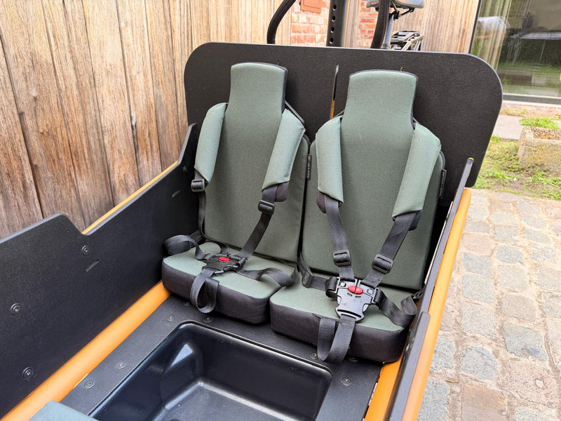 Riese en Müller Load4 75 Vario HS Peanut Matt 45km/u