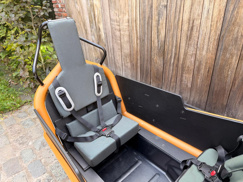 Riese en Müller Load4 75 Vario HS Peanut Matt 45km/u