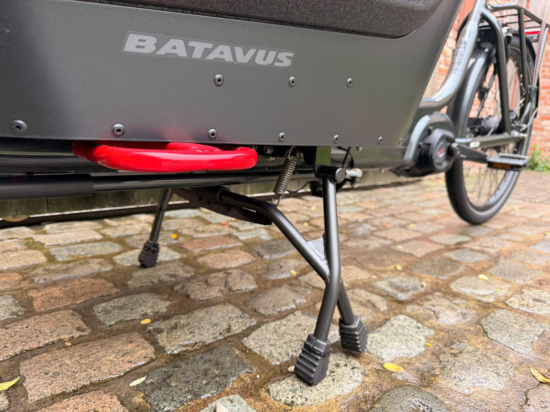 Batavus Fier 2 | 1271 kms | 2024