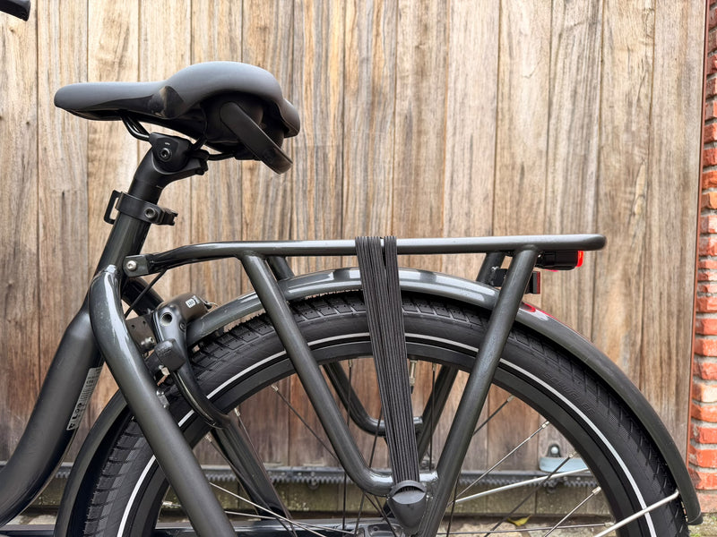 Batavus Fier 2 | 7650 kms | 2022