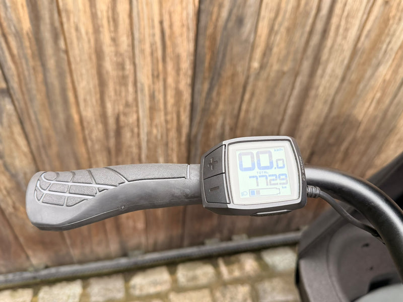 Batavus Fier 2 | 7650 kms | 2022
