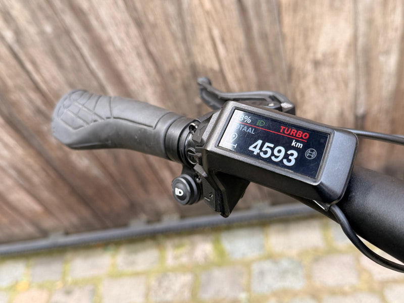 Riese en Müller Multitinker | 4593 kms | 2025